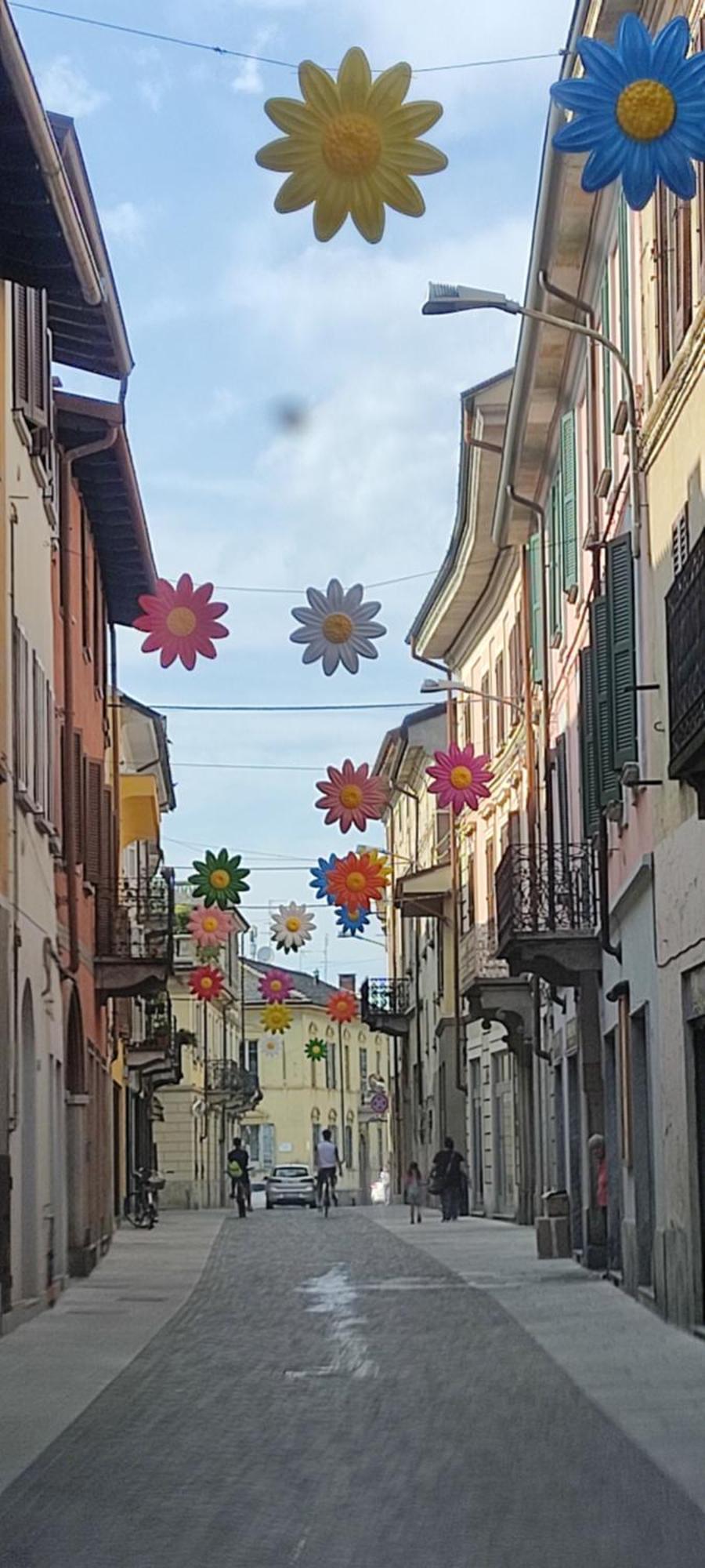 Apartamento La Casa Di Rosy Oleggio Exterior foto